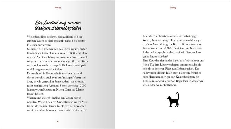 Produktbild: Kleine Katzenphilosophie