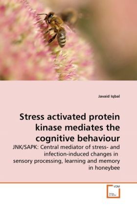 Produktbild: Iqbal, J: Stress activated protein kinase mediates the cogni