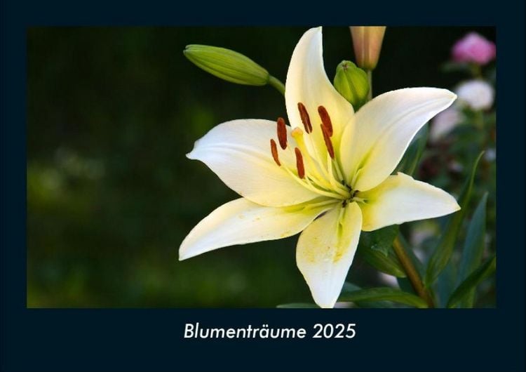 Produktbild: Blumentr&auml;ume 2025 Fotokalender DIN A4