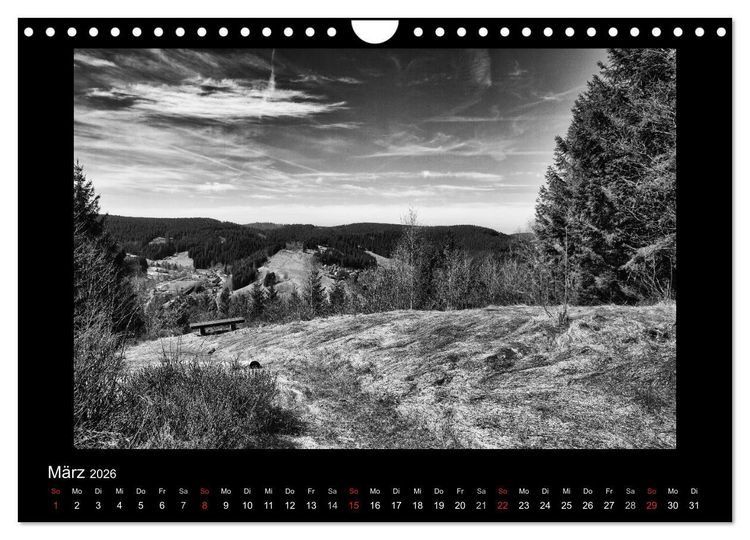Produktbild: Harz-Bilder in monochrome (Wandkalender 2026 DIN A4 quer), CALVENDO Monatskalender