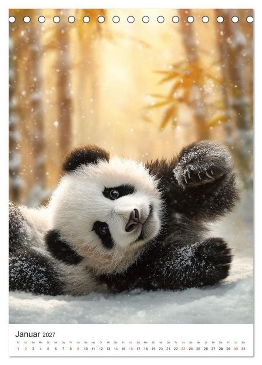 Produktbild: Panda Momente (Tischkalender 2027 DIN A5 hoch), CALVENDO Monatskalender