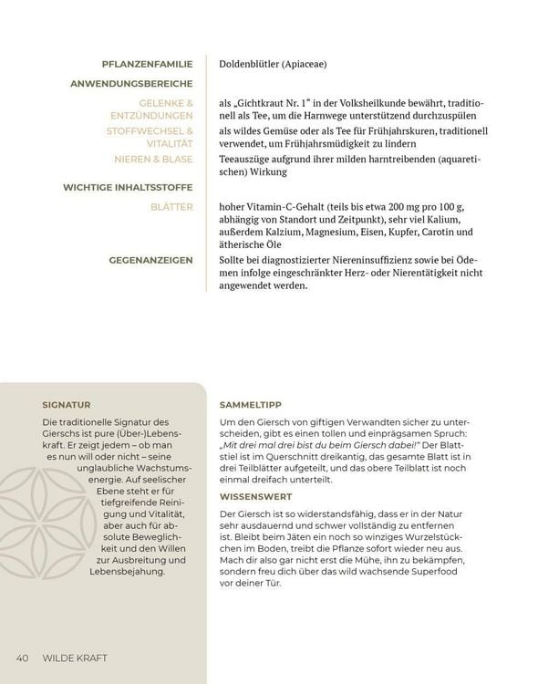 Produktbild: Wilde Kraft