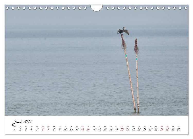 Produktbild: Naturpark Wattenmeer und Helgoland (Wandkalender 2026 DIN A4 quer), CALVENDO Monatskalender