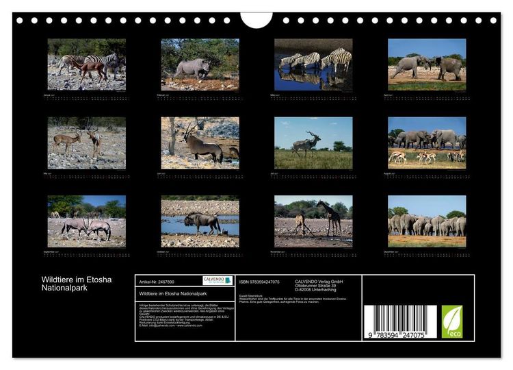 Produktbild: Wildtiere im Etosha Nationalpark (Wandkalender 2027 DIN A4 quer), CALVENDO Monatskalender