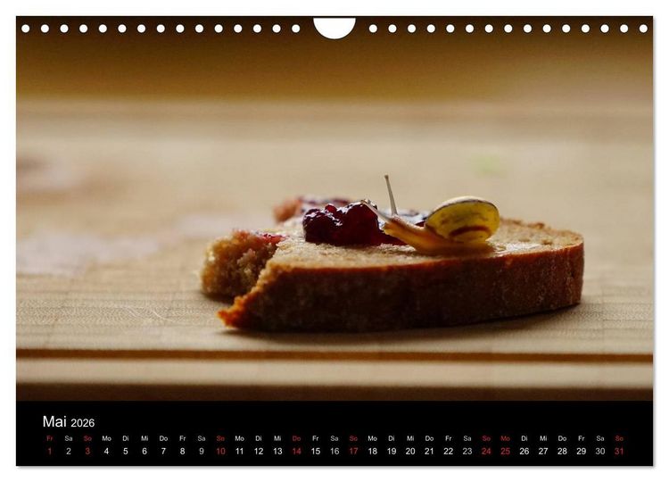Produktbild: Kleine B&auml;nderschnecke ganz gro&szlig; - Gem&uuml;tlich durch das neue Jahr (Wandkalender 2026 DIN A4 quer), CALVENDO Monatskalender