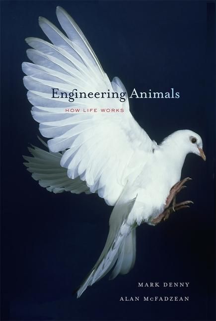 Produktbild: Denny, M: Engineering Animals