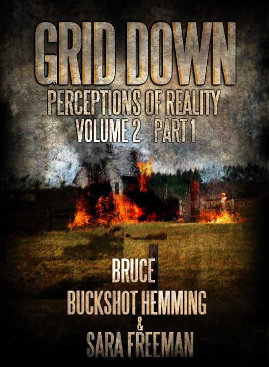 Produktbild: Grid Down Perceptions Of Reality (Part 1, #2)