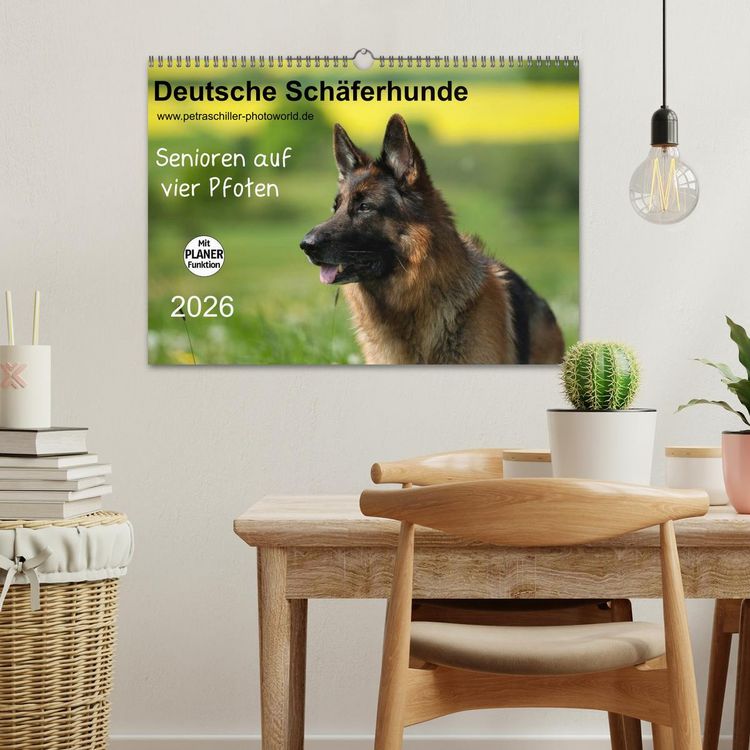 Produktbild: Deutsche Sch&auml;ferhunde - Senioren auf vier Pfoten (Wandkalender 2026 DIN A3 quer), CALVENDO Monatskalender