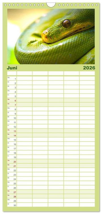 Produktbild: Familienplaner 2026 - Reptilien - Tierische Farbenpracht mit 5 Spalten (Wandkalender, 21 x 45 cm) CALVENDO