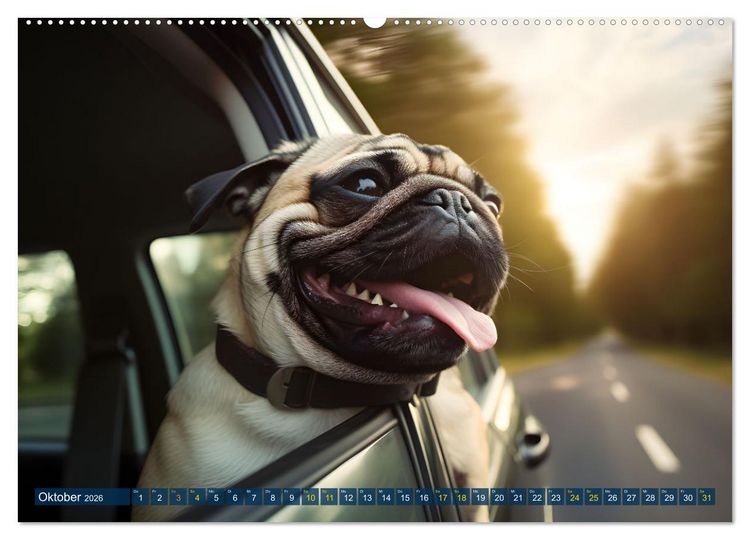 Produktbild: Lustige Mops-Hunde: Die charmanten Meister von Chaos und Unfug (hochwertiger Premium Wandkalender 2026 DIN A2 quer), Kunstdruck in Hochglanz