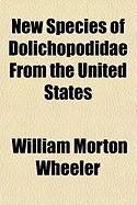 Produktbild: New Species of Dolichopodidae from the United States