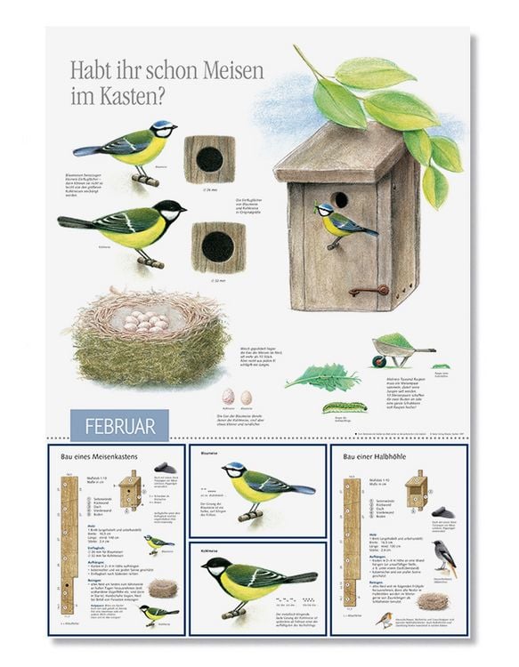 Produktbild: Natur erleben durch das Jahr - 1
