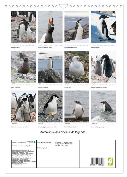 Produktbild: Antarctique des oiseaux de l&eacute;gende (Calendrier mural 2026 DIN A3 horizontal), CALVENDO calendrier mensuel