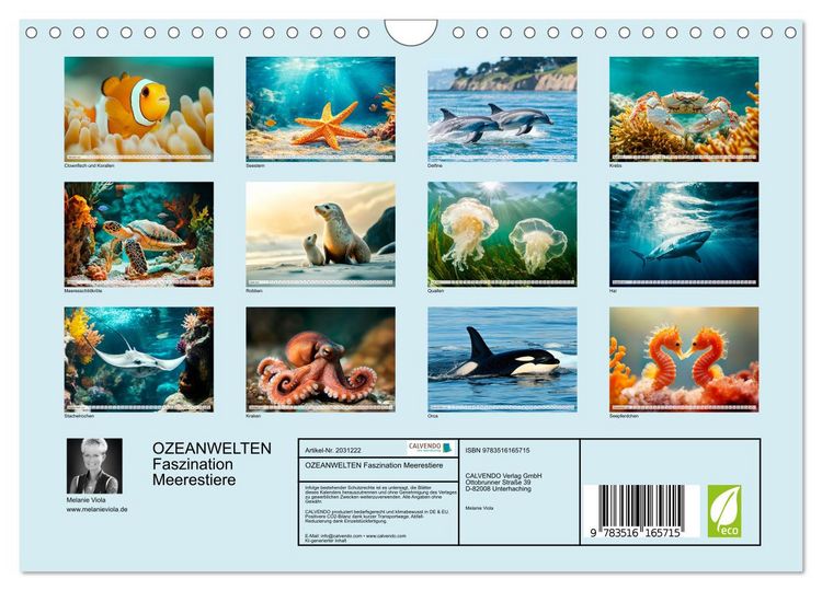 Produktbild: OZEANWELTEN Faszination Meerestiere (Wandkalender 2026 DIN A4 quer), CALVENDO Monatskalender