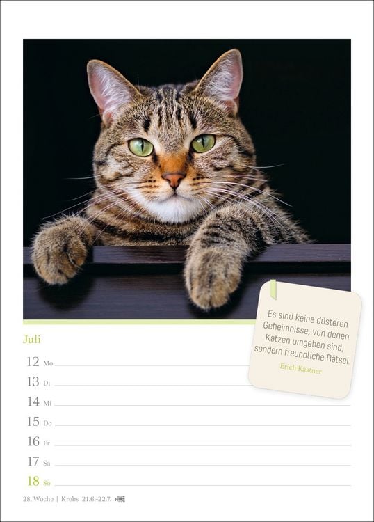 Produktbild: Katzengl&uuml;ck Wochenkalender 2027 - mit Zitaten