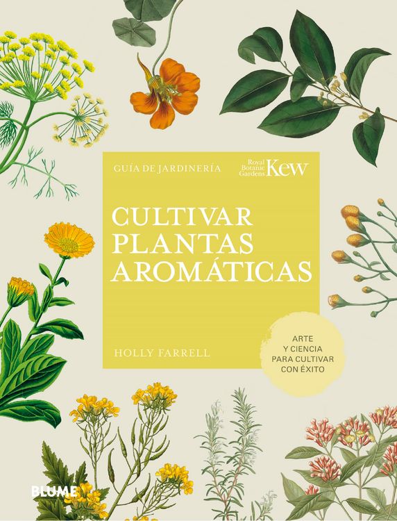 Produktbild: Cultivar plantas arom&aacute;ticas
