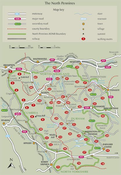 Produktbild: Walking in the North Pennines