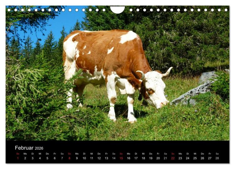 Produktbild: Die Welt der K&uuml;he (Wandkalender 2026 DIN A4 quer), CALVENDO Monatskalender