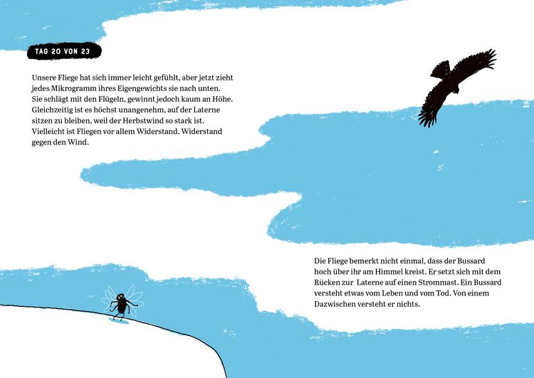 Produktbild: Biografie einer Fliege