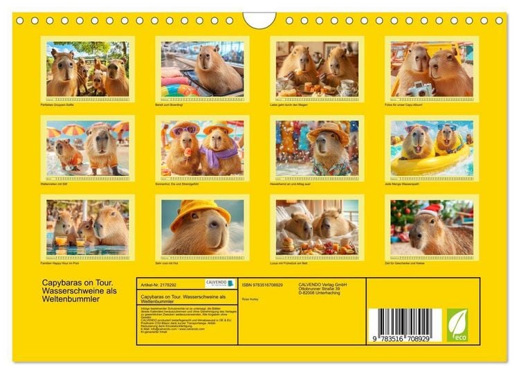 Produktbild: Capybaras on Tour. Wasserschweine als Weltenbummler (Wandkalender 2026 DIN A4 quer), CALVENDO Monatskalender