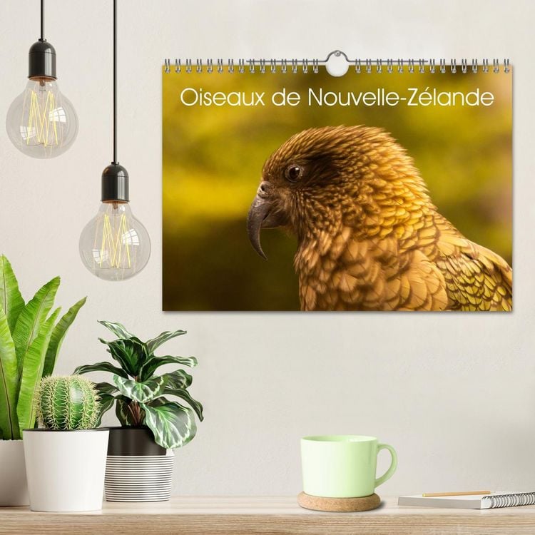 Produktbild: Oiseaux de Nouvelle-Z&eacute;lande (Calendrier mural 2026 DIN A4 vertical), CALVENDO calendrier mensuel