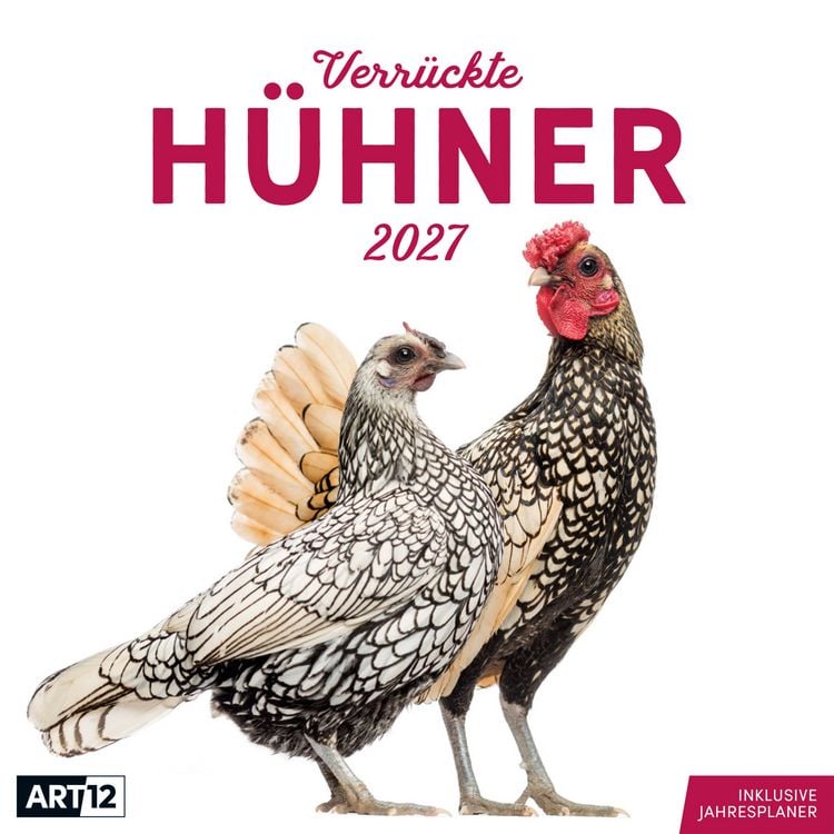 Produktbild: Verr&uuml;ckte H&uuml;hner Kalender 2027 - 30x30 - Art12