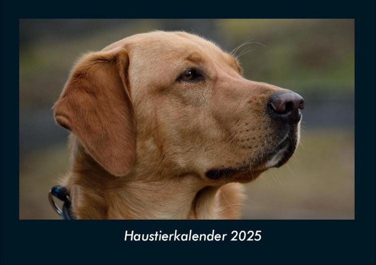 Produktbild: Haustierkalender 2025 Fotokalender DIN A4