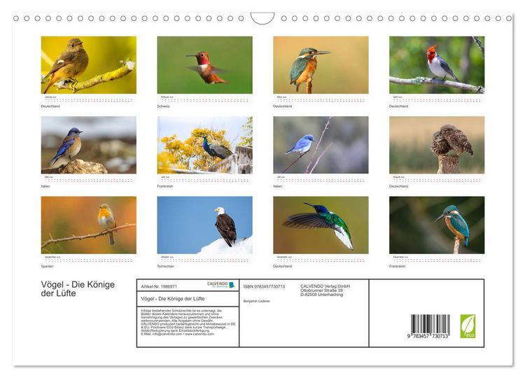 Produktbild: V&ouml;gel - Die K&ouml;nige der L&uuml;fte (Wandkalender 2026 DIN A3 quer), CALVENDO Monatskalender