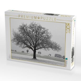 Produktbild: CALVENDO Puzzle Dezember | 1000 Teile Lege-Gr&ouml;&szlig;e 64x48cm Foto-Puzzle f&uuml;r gl&uuml;ckliche Stunden