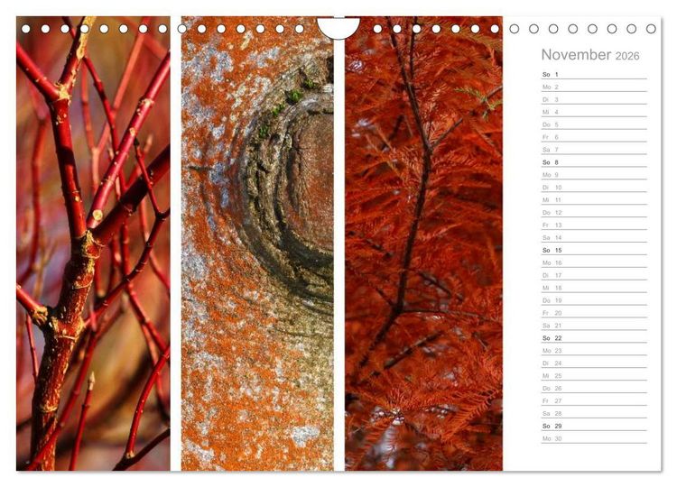 Produktbild: Nat&uuml;rlicher Dreiklang (Wandkalender 2026 DIN A4 quer), CALVENDO Monatskalender