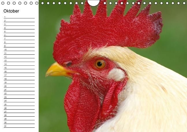 Produktbild: H&uuml;hner / Geburtstagskalender (Wandkalender immerw&auml;hrend DIN A4 quer)