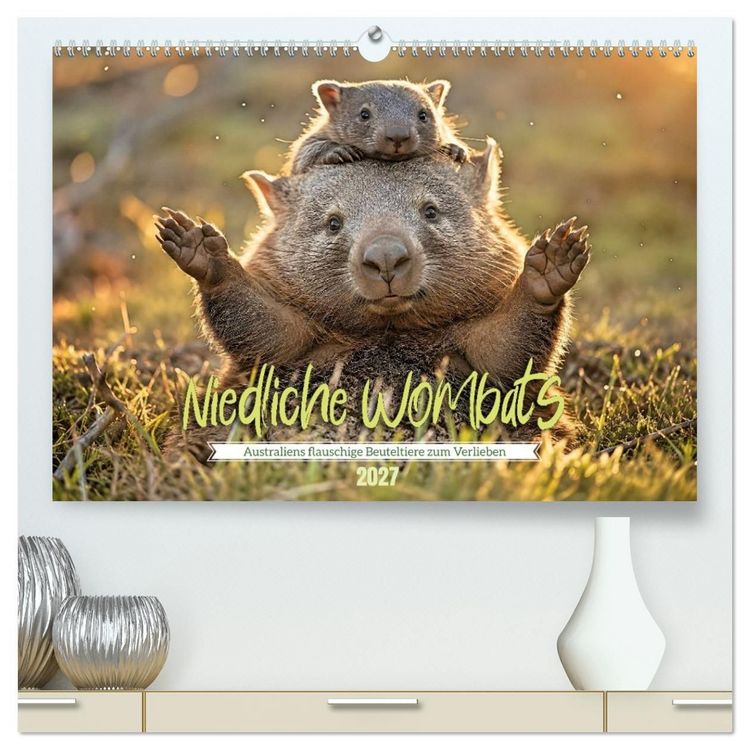 Produktbild: Niedliche Wombats - Australiens flauschige Beuteltiere zum Verlieben (hochwertiger Premium Wandkalender 2027 DIN A2 quer), Kunstdruck in Hochglanz