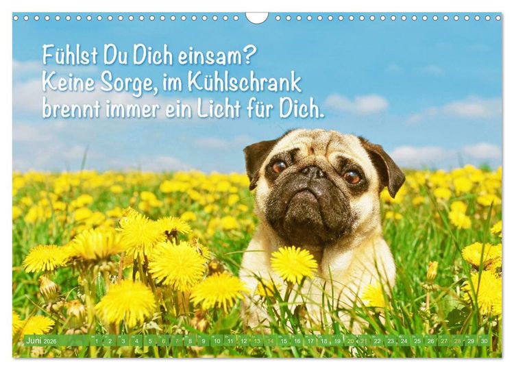 Produktbild: Mopsala: Vom Gl&uuml;ck, ein Mops zu sein (Wandkalender 2026 DIN A3 quer), CALVENDO Monatskalender