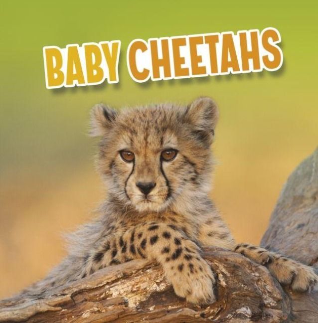 Produktbild: Baby Cheetahs