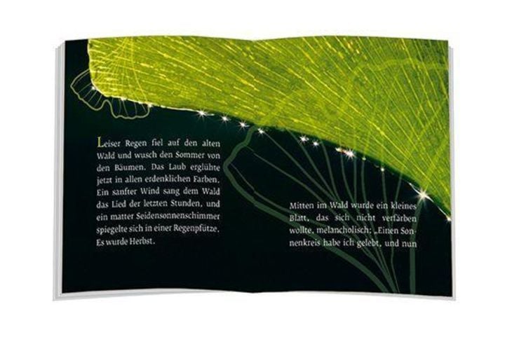 Produktbild: Das Märchen vom Ginkgoblatt