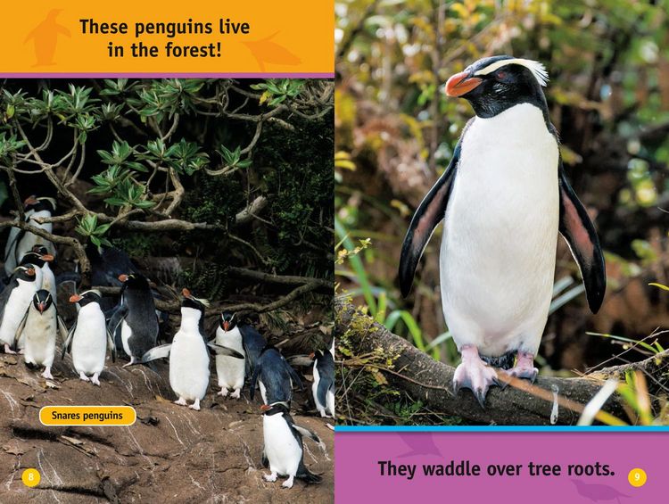Produktbild: Hello, Penguin!