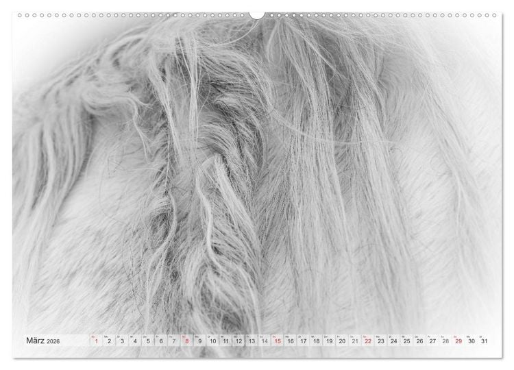 Produktbild: Emotionale Momente: Wei&szlig;e Pferde in schwarzwei&szlig;. (hochwertiger Premium Wandkalender 2026 DIN A2 quer), Kunstdruck in Hochglanz