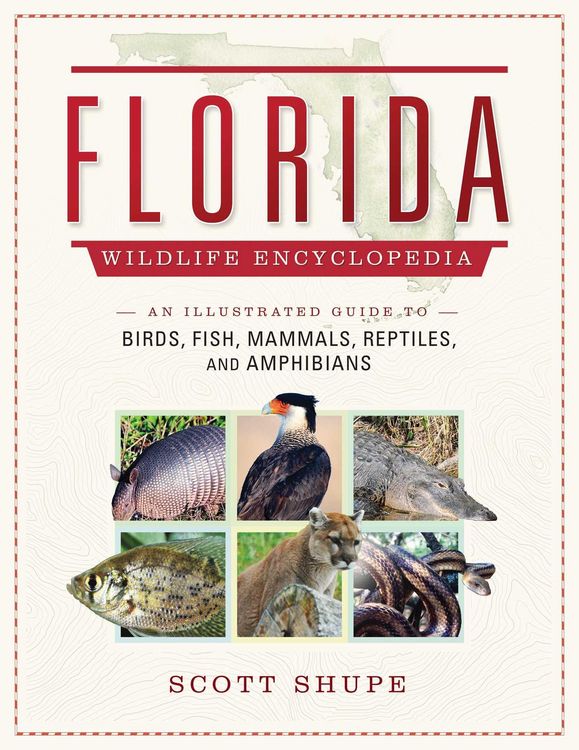 Produktbild: The Florida Wildlife Encyclopedia