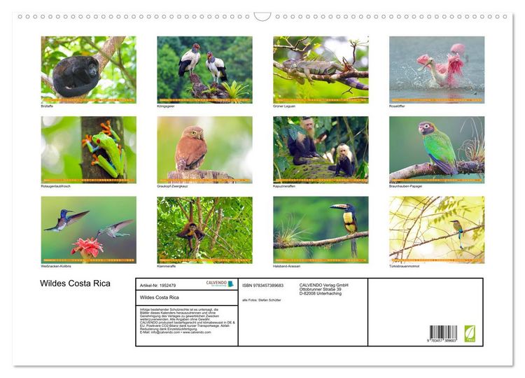 Produktbild: Wildes Costa Rica (Wandkalender 2026 DIN A2 quer), CALVENDO Monatskalender