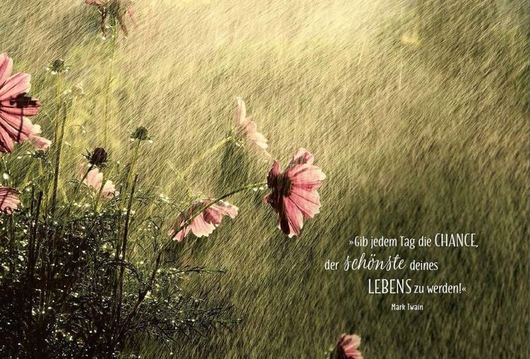 Produktbild: NOW! Lebe wild, frei und wunderbar