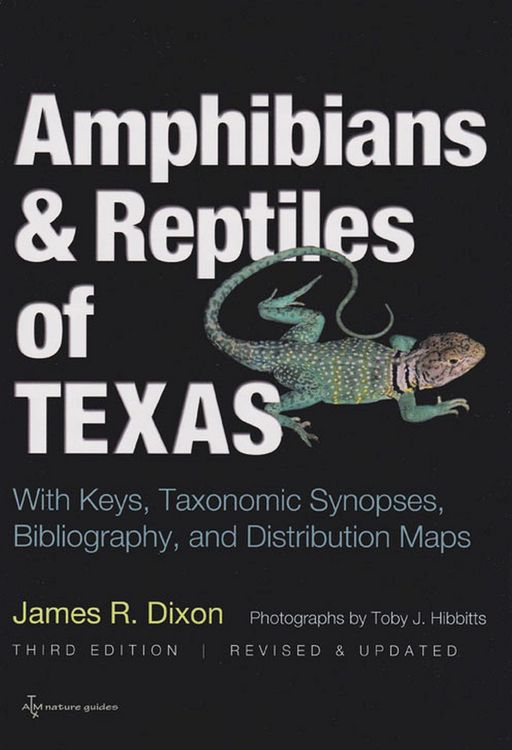 Produktbild: Amphibians and Reptiles of Texas