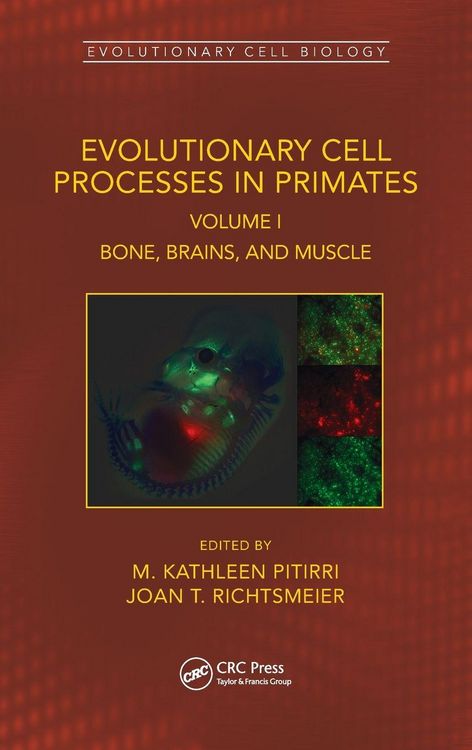 Produktbild: Evolutionary Cell Processes in Primates