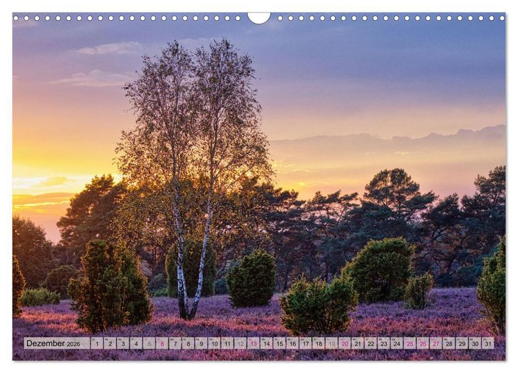 Produktbild: L&uuml;neburger S&uuml;dheide (Wandkalender 2026 DIN A3 quer), CALVENDO Monatskalender