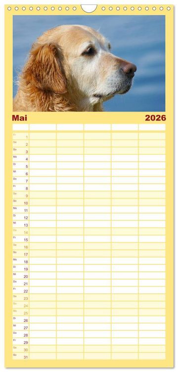 Produktbild: Familienplaner 2026 - Golden Retriever Power mit 5 Spalten (Wandkalender, 21 x 45 cm) CALVENDO