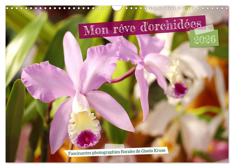 Produktbild: Mon r&ecirc;ve d'orchid&eacute;es (Calendrier mural 2026 DIN A3 vertical), CALVENDO calendrier mensuel