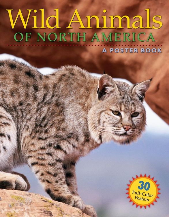 Produktbild: Wild Animals of North America