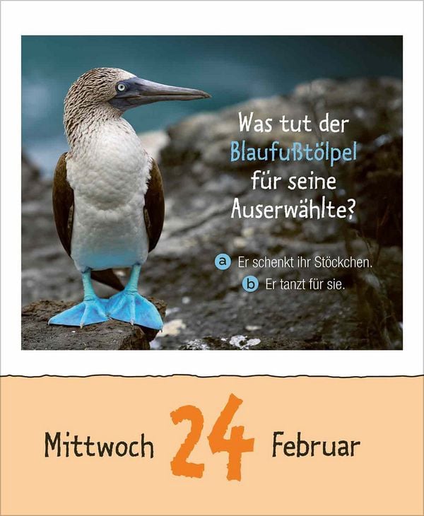 Produktbild: Wie faul ist das Faultier? 2027