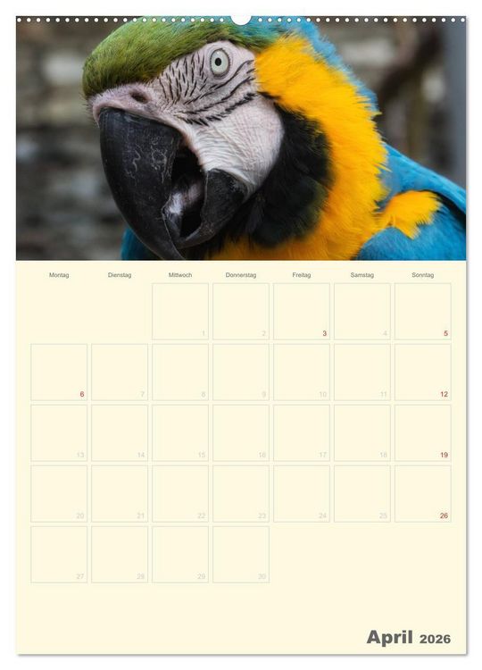 Produktbild: Kunterbunter Papageien-Planer (Wandkalender 2026 DIN A2 hoch), CALVENDO Monatskalender