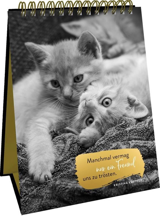 Produktbild: Goldene Katzenweisheiten