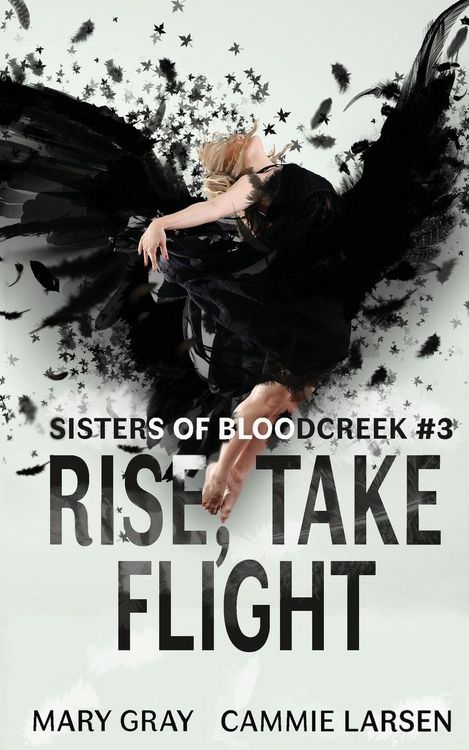 Produktbild: Rise, Take Flight